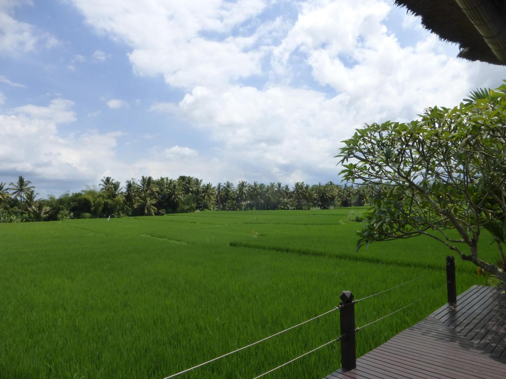 Bali Harmony Villa Ubud Camera foto