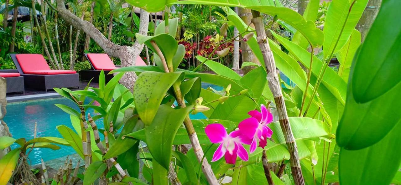 Bali Harmony Villa Ubud Esterno foto